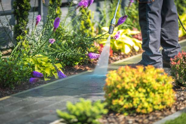 Best Concrete Surface Cleaning in Mount Pleasant, IA